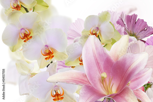 Beautiful flower background.Lily with exotic orchid