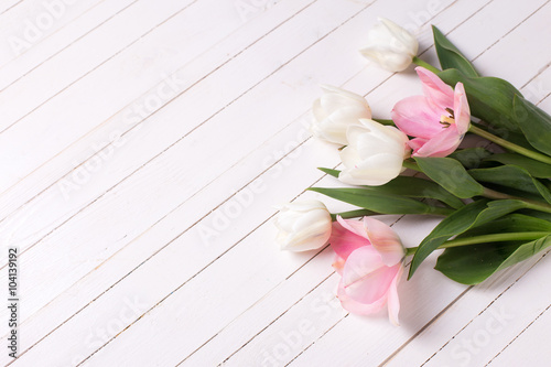 Spring white and pink  tulips  on white  painted wooden backgrou © daffodilred
