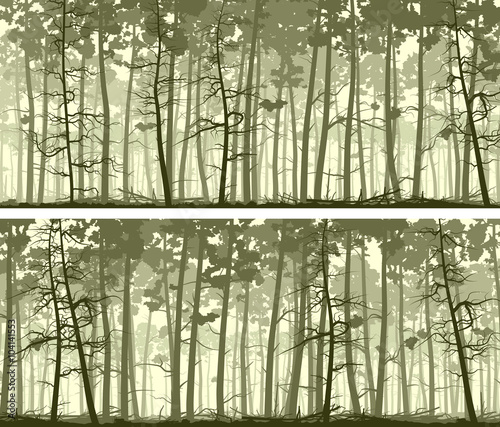 Horizontal wide banners of coniferous wood.