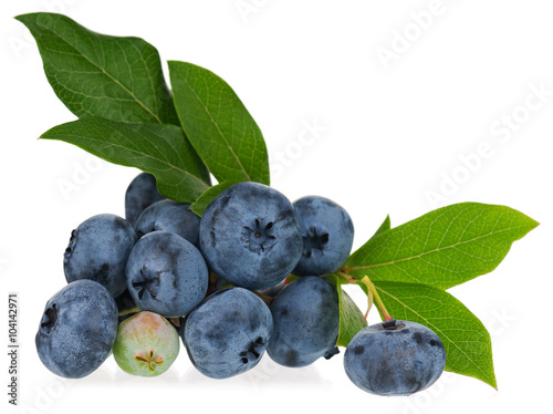 Fresh bright blueberries