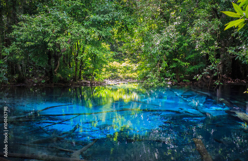 Sa Nam Phut is beautiful spring pool in the forest national park