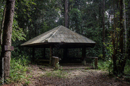 pavilion central jungle