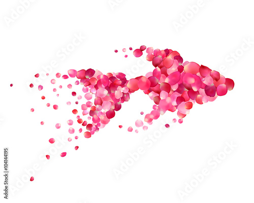 Silhouette of a goldfish of pink rose petals isolated on white