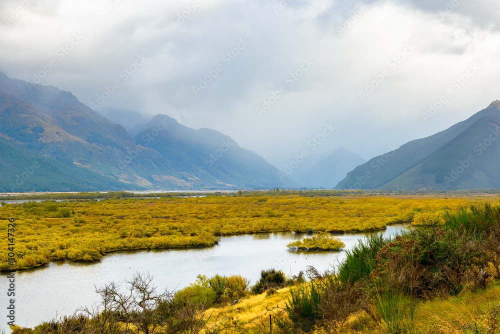 New Zealand Landscape