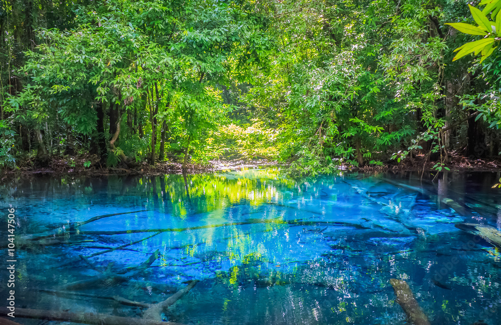 Sa Nam Phut is beautiful spring pool in the forest national park Sa Nam Phut is beautiful spring pool in the forest national park