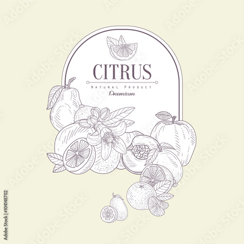 Citrus, Vector Illustration Banner