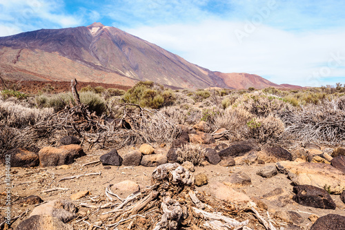 View of volcano Teide
