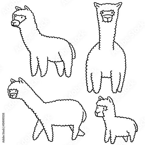 vector set of alpacas