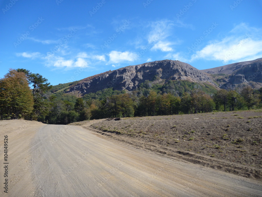 dusty dirt road in park las araucarias in patagonia
