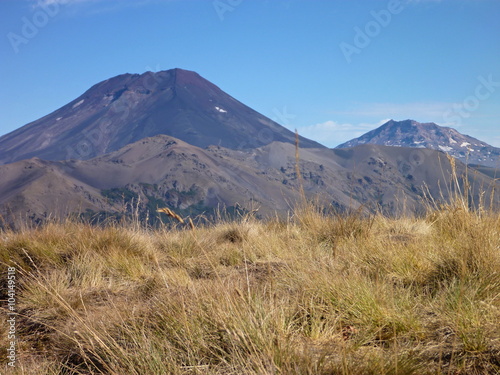 volcano lonquimay in las araucarias park in chile photo