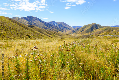 New Zealand Landscape