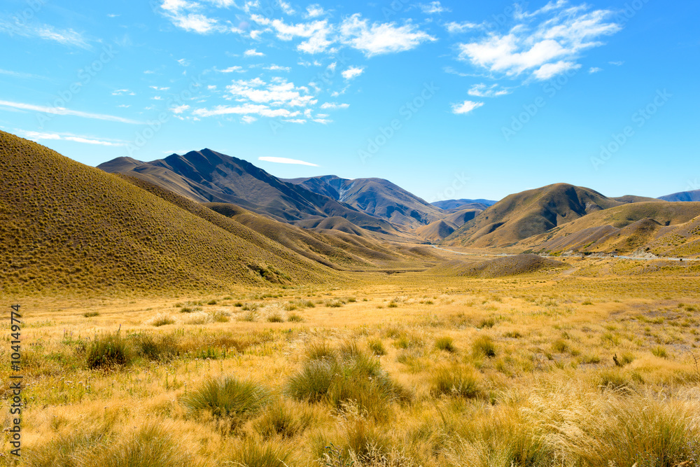 New Zealand Landscape New Zealand Landscape