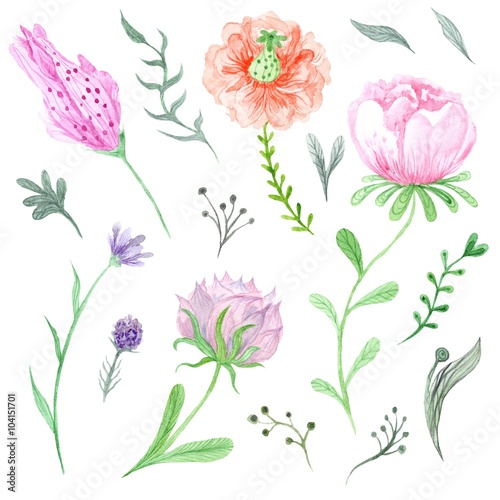 Set of Watercolor Spring Flowers and Leaves