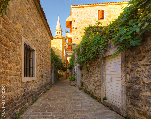 Fototapeta Naklejka Na Ścianę i Meble -  view narrow street in old district of Budva, Montenegro