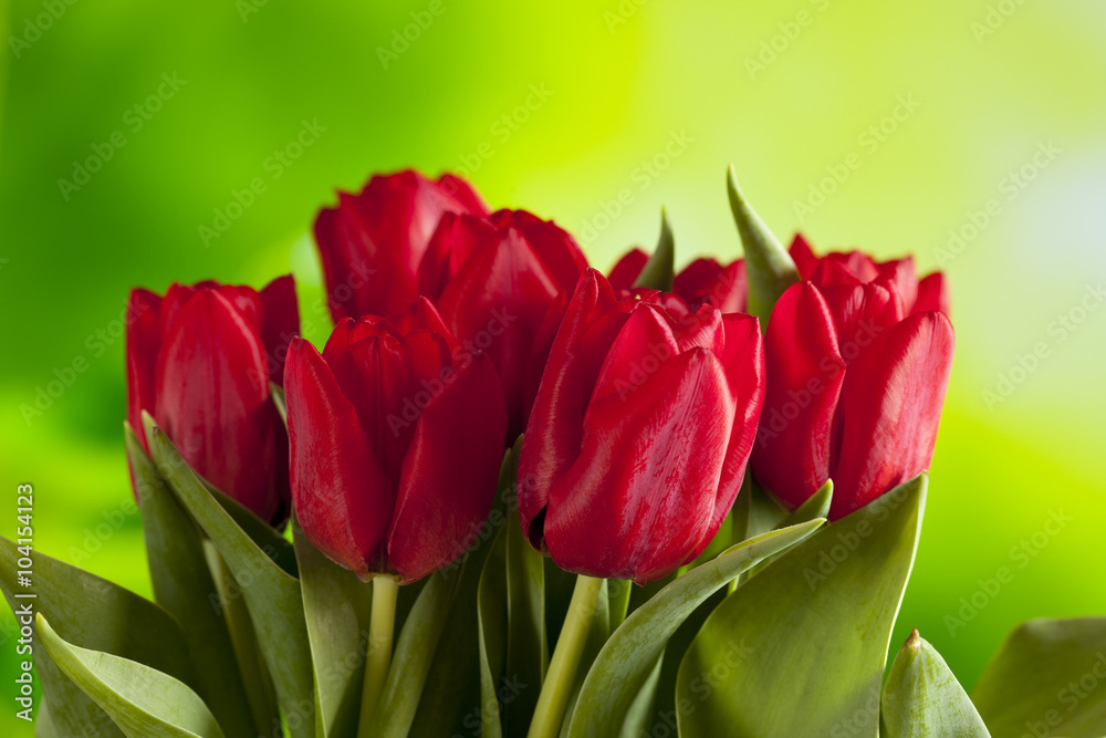 Bunch of red tulips on nature background Bunch of red tulips on nature background