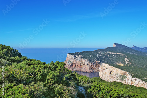 Capo Caccia coastline
