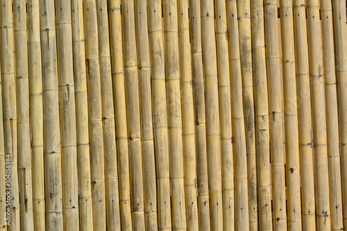 Bamboo background