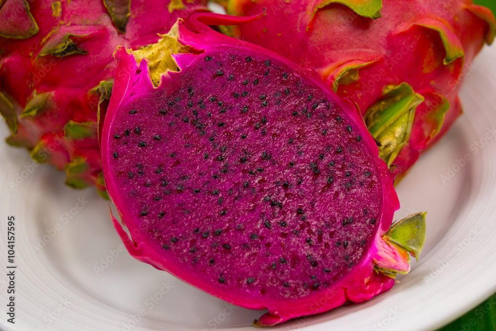 pitaya04 pitaya04