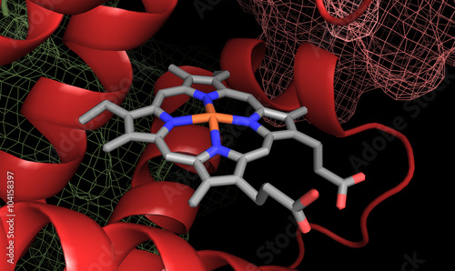 close up of heme group in hemoglobin protein structure photo