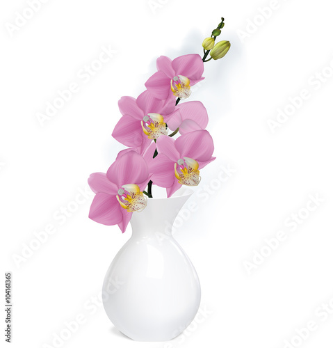 Fototapeta Naklejka Na Ścianę i Meble -  Orchid branch with buds in white vase. Vector illustrator