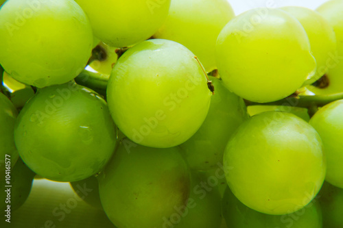 Close up image of yummy green grapes