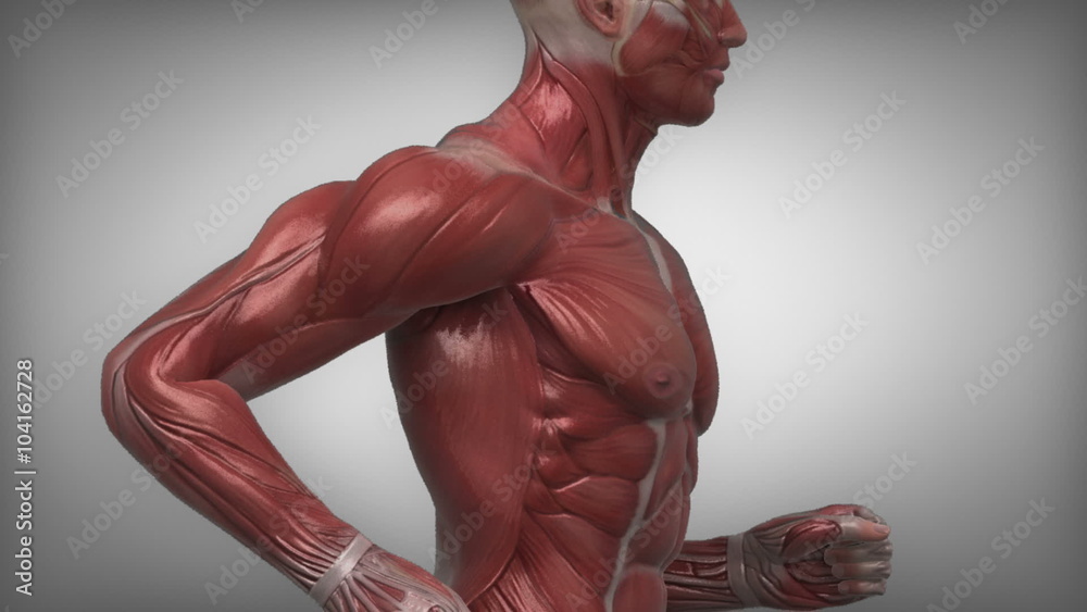 Running muscular man with visible muscles in loop