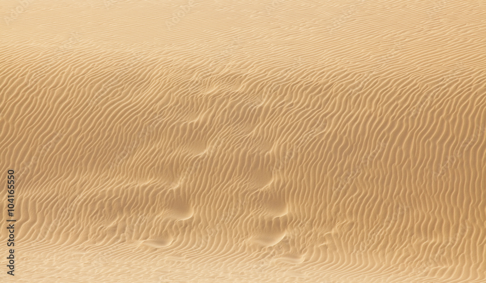 desert sand desert sand