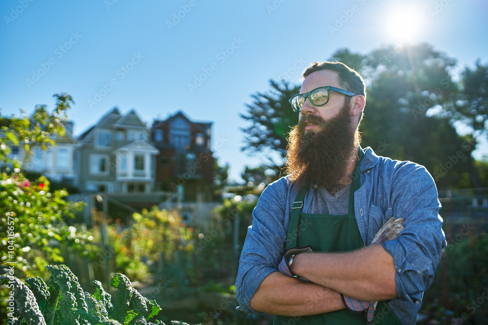 proud gardener with beard looking at his crops in urban communal garden proud gardener with beard looking at his crops in urban communal garden