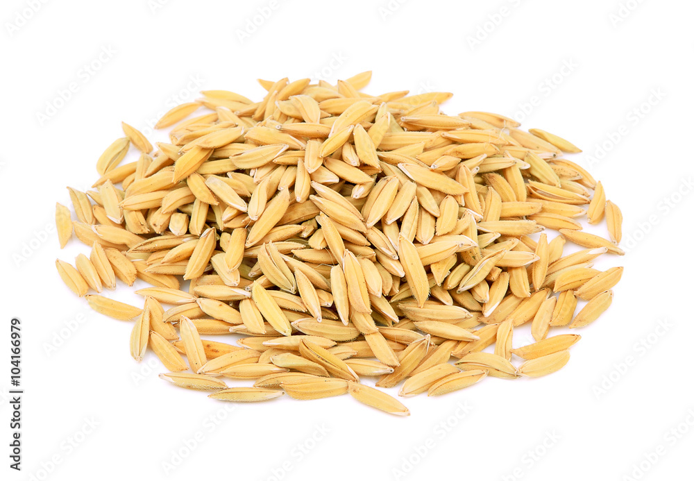 paddy rice on white background paddy rice on white background