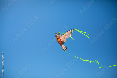 colored kite in the sky