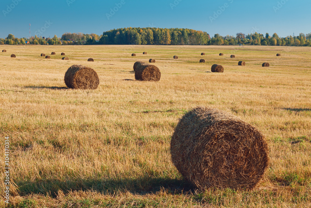 Farm Scenery with Haystacks