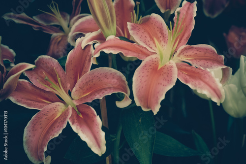 Fototapeta Naklejka Na Ścianę i Meble -  flowers with filter effect retro vintage style