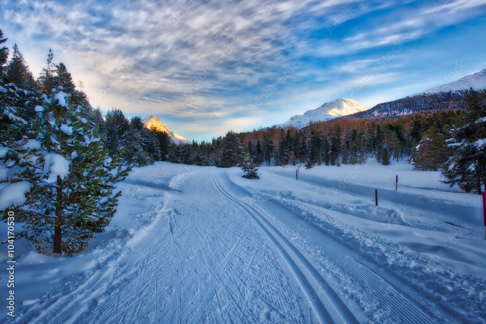 Cross-country skiing in a wonderful place Cross-country skiing in a wonderful place