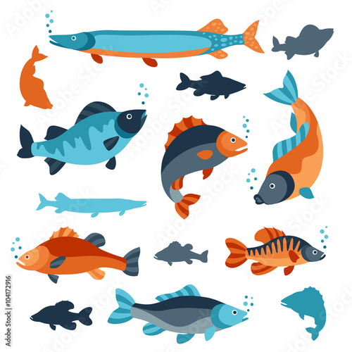 Set of various fish. Objects for decoration, design on advertising booklets, banners, flayers