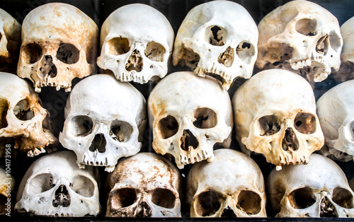 Fotografie Pile of Skeleton Heads laid on top of each other.