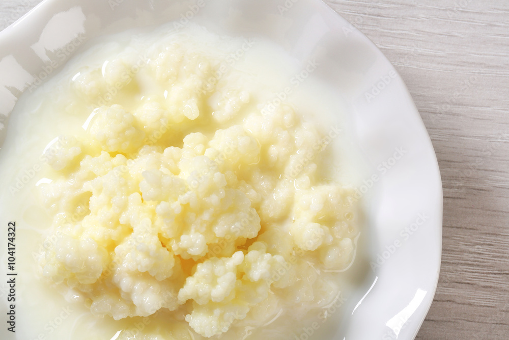 Milk kefir grains (Tibetan mushroom) Milk kefir grains (Tibetan mushroom)