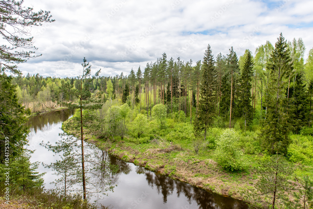 Summer river with reflections