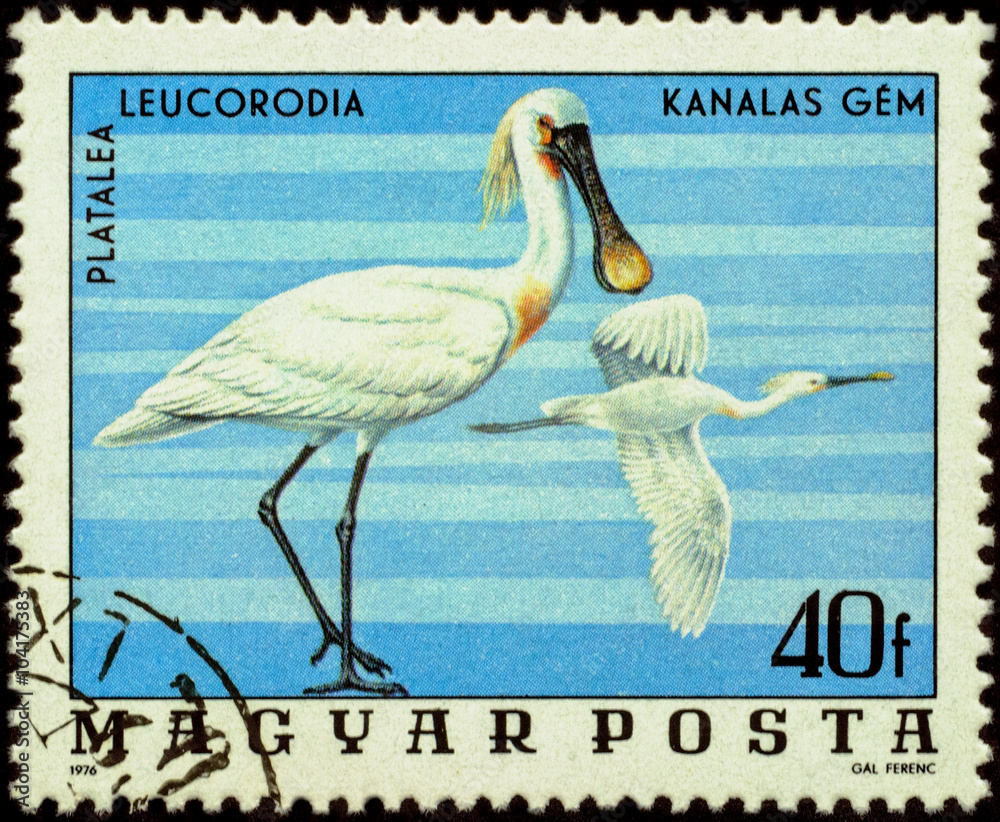 Fototapeta premium Bird spoonbill (Platalea leucorodia) on postage stamp