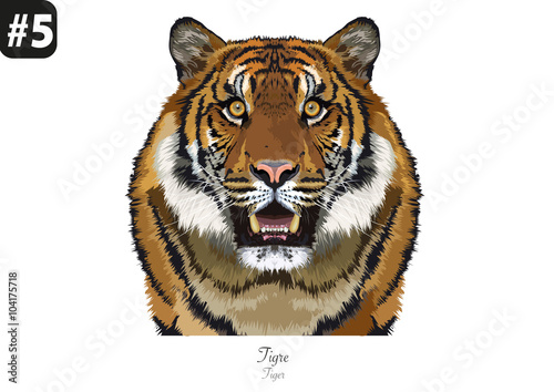 ANIMAUX -Portraits - #5 - Tigre