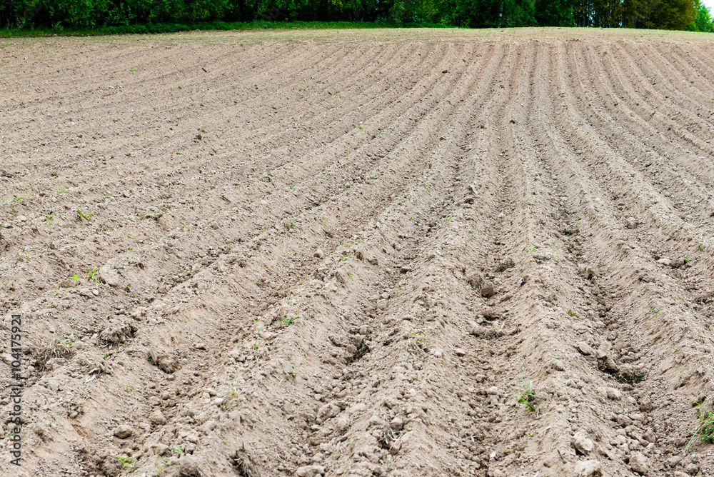 Background of newly plowed field ready for new crops Background of newly plowed field ready for new crops