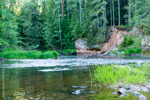 Summer river with reflections