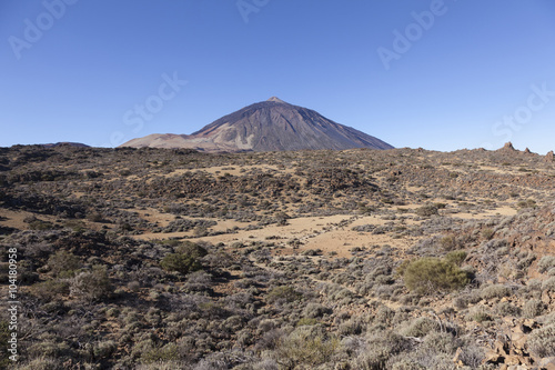dry landscape of national park with peak of El Teide volcano as