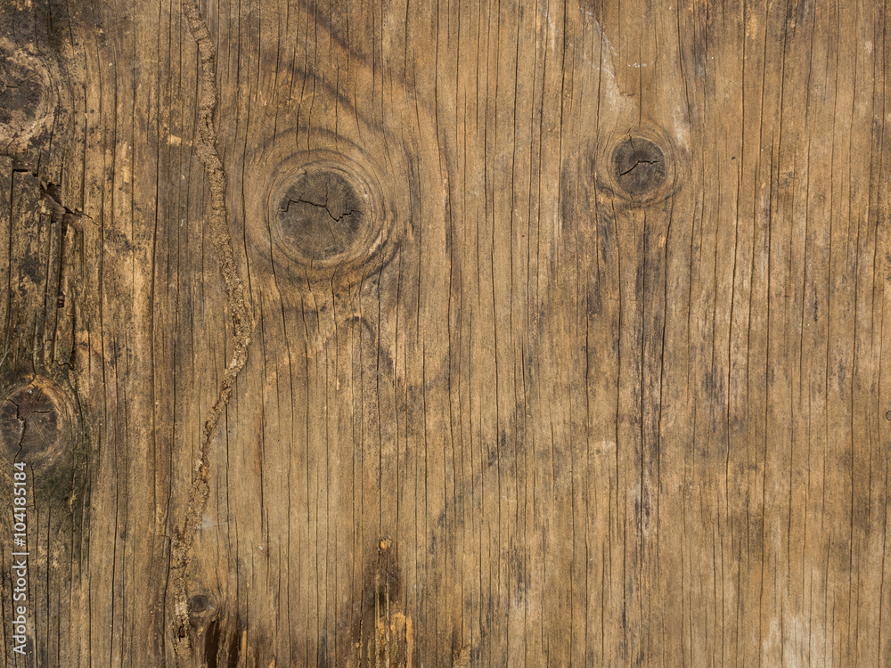 Obraz premium Texture of bark old wood use as natural background