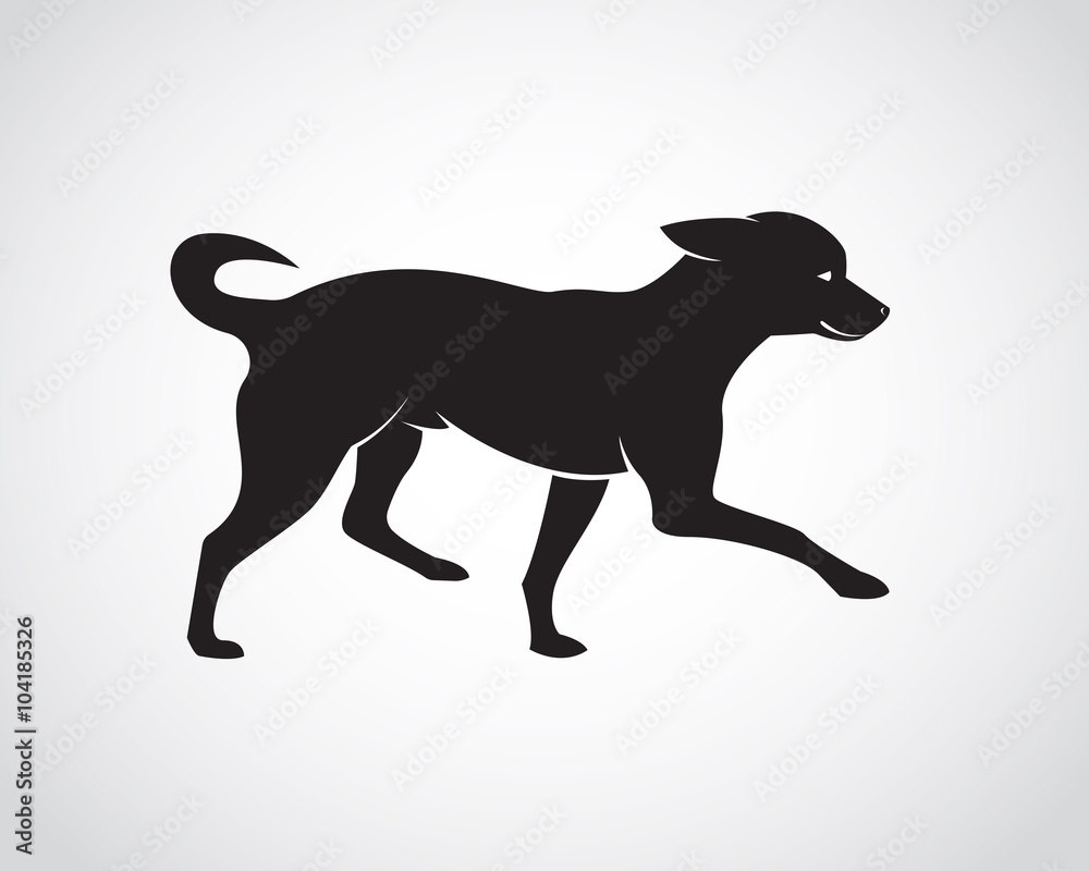 Vector image of an dog on white background. Chihuahua Puppies