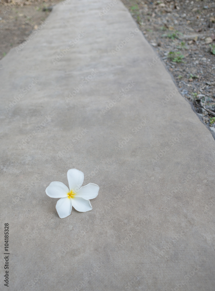 Flower drop on the ground