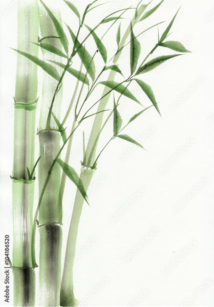 Obraz premium Bamboo original watercolor painting. Asian style.