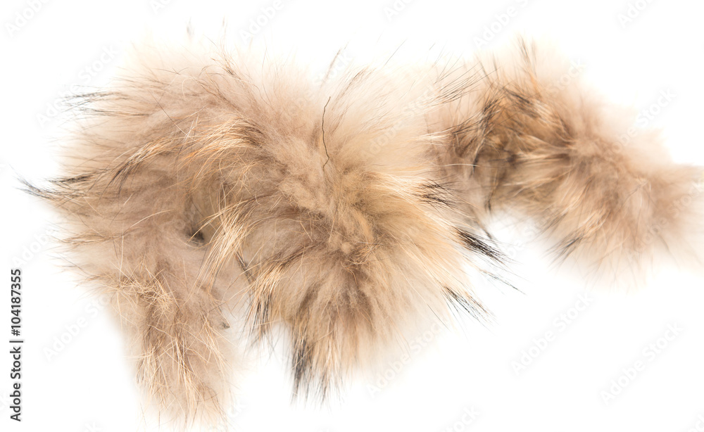 a piece of brown fur on a white background a piece of brown fur on a white background