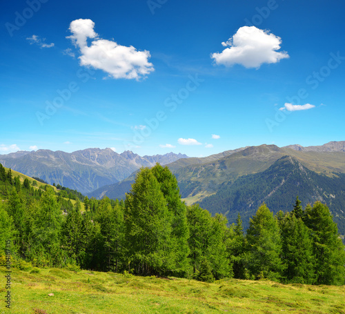 Summer landscape in Swiss Alps near Davos - canton Graubunden. © vencav