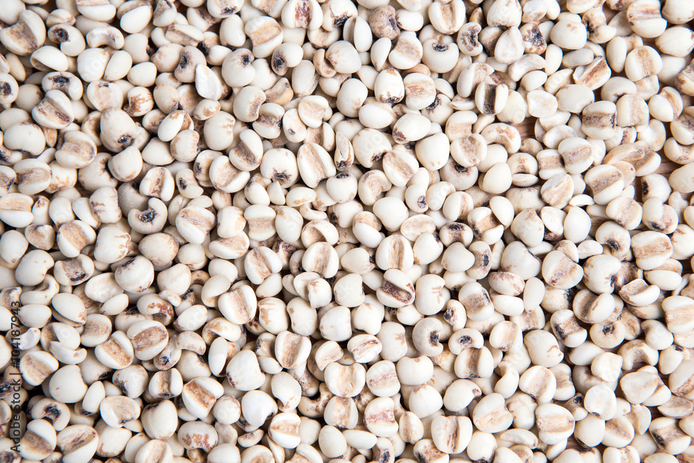 close up pile of millet as a background close up pile of millet as a background