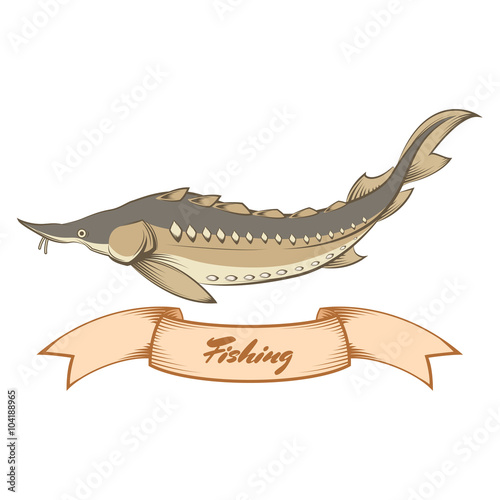 Sturgeon fishing banner